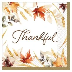 AMSCAN Classic 5 In. X 5 In. Multi-Color Paper Thanksgiving Beverage Napkins (2-Pack)