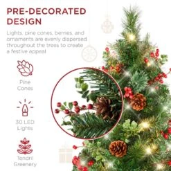 Best Choice Products 30 In. LED Christmas Tree Path Lights With Berries Pine Cones And Ornaments (Set Of 2) -The Home Depot Shop best choice products christmas pathway lights sky5179 1f 1000