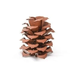 15 In. Pine Cone Luminary