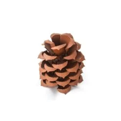 15 In. Pine Cone Luminary 7 15 In. Pine Cone Luminary -The Home Depot Shop desert steel indoor fall decorations 412 000 a0 1000