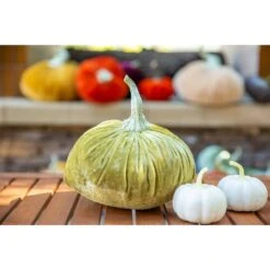 3 In. Fall Harvest Cream White Plastic Foam Pumpkin Filler In PVC Box (8-Pieces Per Box) -The Home Depot Shop flora bunda indoor fall decorations fa1761 crm 31 1000