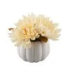 5 In. H Fall Harvest Artificial Plant Cream White Faux Mums In 4 In. Cream Ceramic Pumpkin Pot With Gold Line