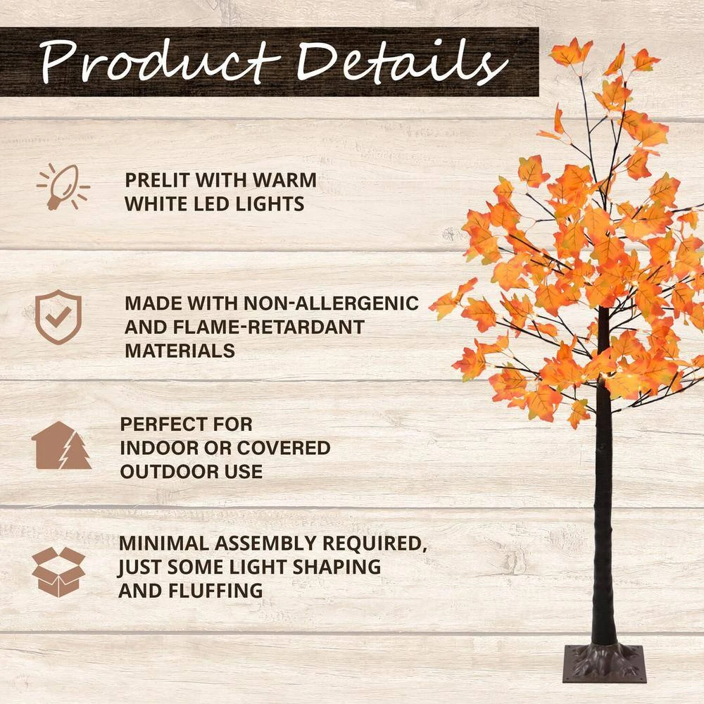 5 Ft. Harvest Maple Tree 4 5 Ft. Harvest Maple Tree - Image 4