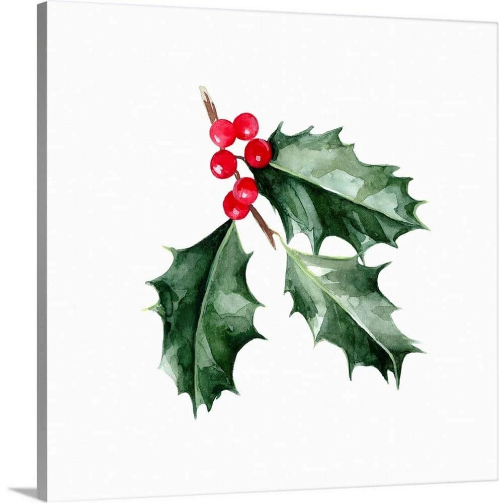 24 In. X 24 In. Christmas Holly I By Emma Scarvey Canvas Wall Art 1 24 In. X 24 In. Christmas Holly I By Emma Scarvey Canvas Wall Art