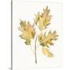 16 In. X 20 In. Fall Study II By Jennifer Goldberger Canvas Wall Art
