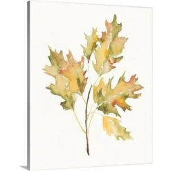 24 In. X 30 In. Fall Study II By Jennifer Goldberger Canvas Wall Art
