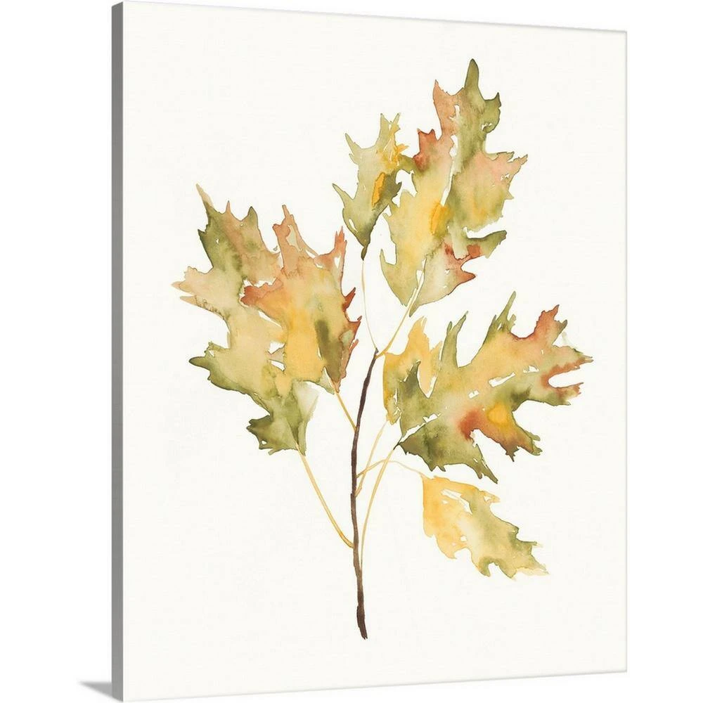 24 In. X 30 In. Fall Study II By Jennifer Goldberger Canvas Wall Art 1 24 In. X 30 In. Fall Study II By Jennifer Goldberger Canvas Wall Art