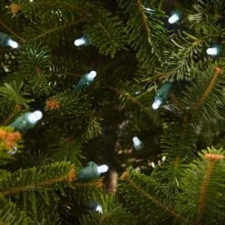 Home Accents Holiday 200 Count Cool White Dome LED Lights -The Home Depot Shop home accents holiday christmas string lights ty 200d w 66 1000