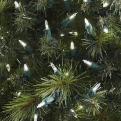 Home Accents Holiday 300 Count Warm White Steady Lit Super Bright Mini LED Lights 11 Home Accents Holiday 300 Count Warm White Steady Lit Super Bright Mini LED Lights -The Home Depot Shop home accents holiday christmas string lights ty560 1715 1ww 66 1000