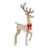 Home Accents Holiday 5 Ft. Polar Wishes LED Golden Standing Buck Holiday Yard Decoration Y42