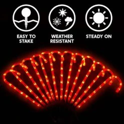 12 Piece Christmas Candy Cane Christmas Pathway Lights, 12 In. Christmas Stakes Lights -The Home Depot Shop joyfy christmas pathway lights 30091 b 76 1000