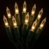 Clear Incandescent Christmas String Lights Indoor,100 Count Mini Warm White Fairy Light,21.5ft. Lighting Deco,Green Wire