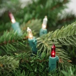 Northlight Set Of 100 Red And Clear Mini Christmas Lights 2.5 In. Spacing With Green Wire 11 Northlight Set Of 100 Red And Clear Mini Christmas Lights 2.5 In. Spacing With Green Wire -The Home Depot Shop northlight christmas string lights 32602430 31 1000