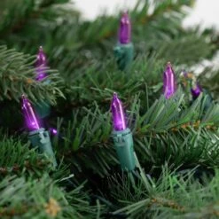 Northlight Set Of 50 Purple LED Mini Christmas Lights With Green Wire -The Home Depot Shop northlight christmas string lights 32605426 4f 1000