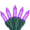 Northlight Set Of 50 Purple LED Mini Christmas Lights With Green Wire