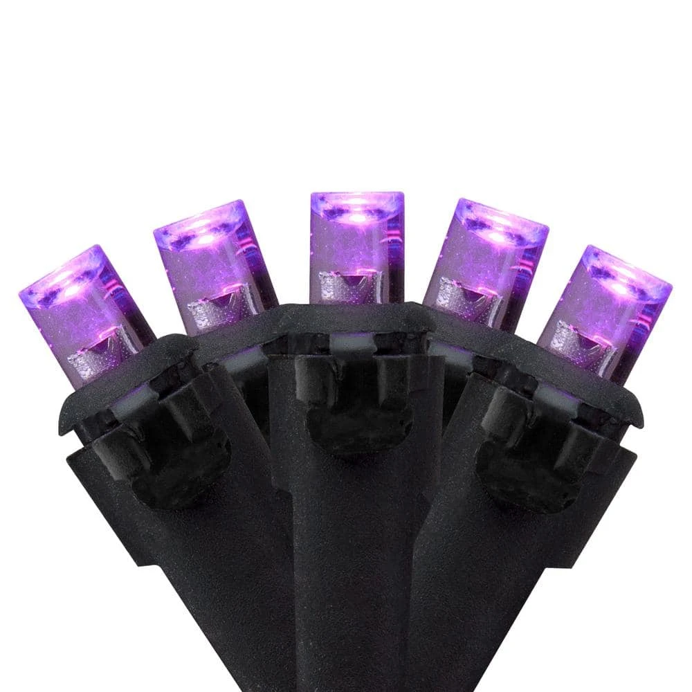 Northlight 50-Count Wide Angle Purple LED Christmas Lights 16 Ft. Black Wire 1 Northlight 50-Count Wide Angle Purple LED Christmas Lights 16 Ft. Black Wire