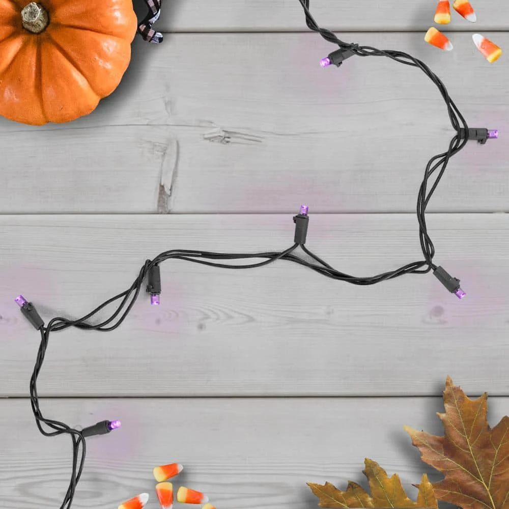 Northlight 50-Count Wide Angle Purple LED Christmas Lights 16 Ft. Black Wire 2 Northlight 50-Count Wide Angle Purple LED Christmas Lights 16 Ft. Black Wire - Image 2