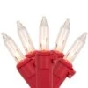 Northlight 50-Count Clear Mini Christmas Light Set-10' Red Wire