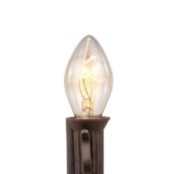 Northlight 25 Count Clear C7 Christmas Lights 24 Ft. Brown Wire -The Home Depot Shop northlight christmas string lights 35167276 4f 1000