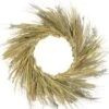 Northlight 22 In. Artificial Unlit Autumn Harvest Wheat Grass And Grapevine Thanksgiving Fall Wreath