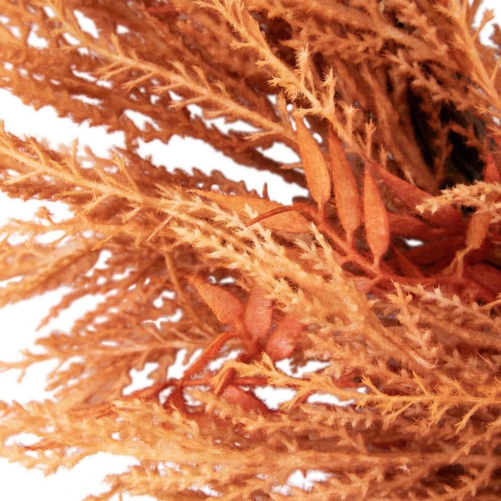 Northlight 24 In. Unlit Peachy Pampas Grass Artificial Fall Harvest Wreath 4 Northlight 24 In. Unlit Peachy Pampas Grass Artificial Fall Harvest Wreath - Image 4