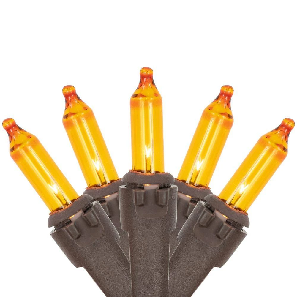 Northlight 10 Ft. Amber Mini Fall Harvest Lights Brown Wire (50-Count) 1 Northlight 10 Ft. Amber Mini Fall Harvest Lights Brown Wire (50-Count)