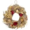 Northlight Pampas Grass And Dried Fall Harvest Floral Wreath-11 In.