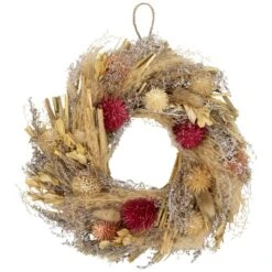 Northlight Pampas Grass And Dried Fall Harvest Floral Wreath-11 In.