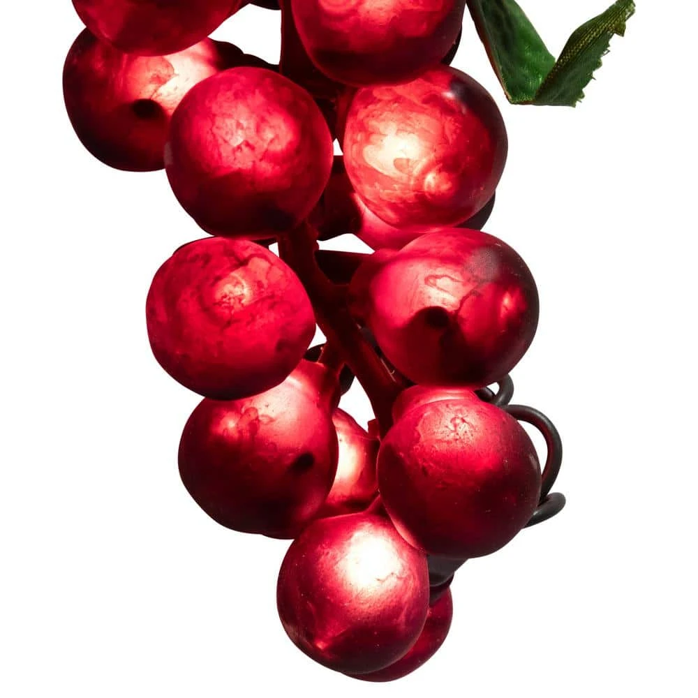 Northlight 5-Light Clear Incandescent Tuscan Winery Red Grape Summer Garden Patio Christmas Light Set 2 Northlight 5-Light Clear Incandescent Tuscan Winery Red Grape Summer Garden Patio Christmas Light Set - Image 2