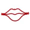 Northlight 17.5 In. 35-Count Red Mini Incandescent Lighted Lips Valentine's Day Window Silhouette
