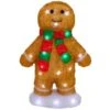 Northlight 14 In. LED Lighted Acrylic Gingerbread Man With Scarf Outdoor Christmas Decoration