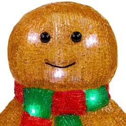 Northlight 14 In. LED Lighted Acrylic Gingerbread Man With Scarf Outdoor Christmas Decoration -The Home Depot Shop northlight seasonal decorations 35686113 fa 1000