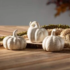 3 In., 3.25 In. And 3 In. Stoneware Cream Harvest Pumpkin Set Of 3 7 3 In., 3.25 In. And 3 In. Stoneware Cream Harvest Pumpkin Set Of 3 -The Home Depot Shop sullivans indoor fall decorations hn349 4f 1000
