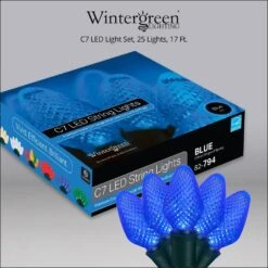 SuperBright 16 Ft. 25-Light LED Blue C7 String Light Set -The Home Depot Shop wintergreen lighting christmas string lights 20338 1f 1000