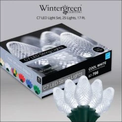 SuperBright 16 Ft. 25-Light Cool White C7 String LED Light Set 11 SuperBright 16 Ft. 25-Light Cool White C7 String LED Light Set -The Home Depot Shop wintergreen lighting christmas string lights 20339 44 1000