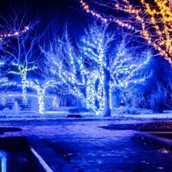 24 Ft. 70-Light Blue 5 Mm LED Mini Light Set -The Home Depot Shop wintergreen lighting christmas string lights 20353 1f 1000